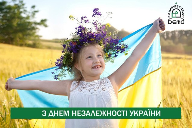 The Independence Day of Ukraine